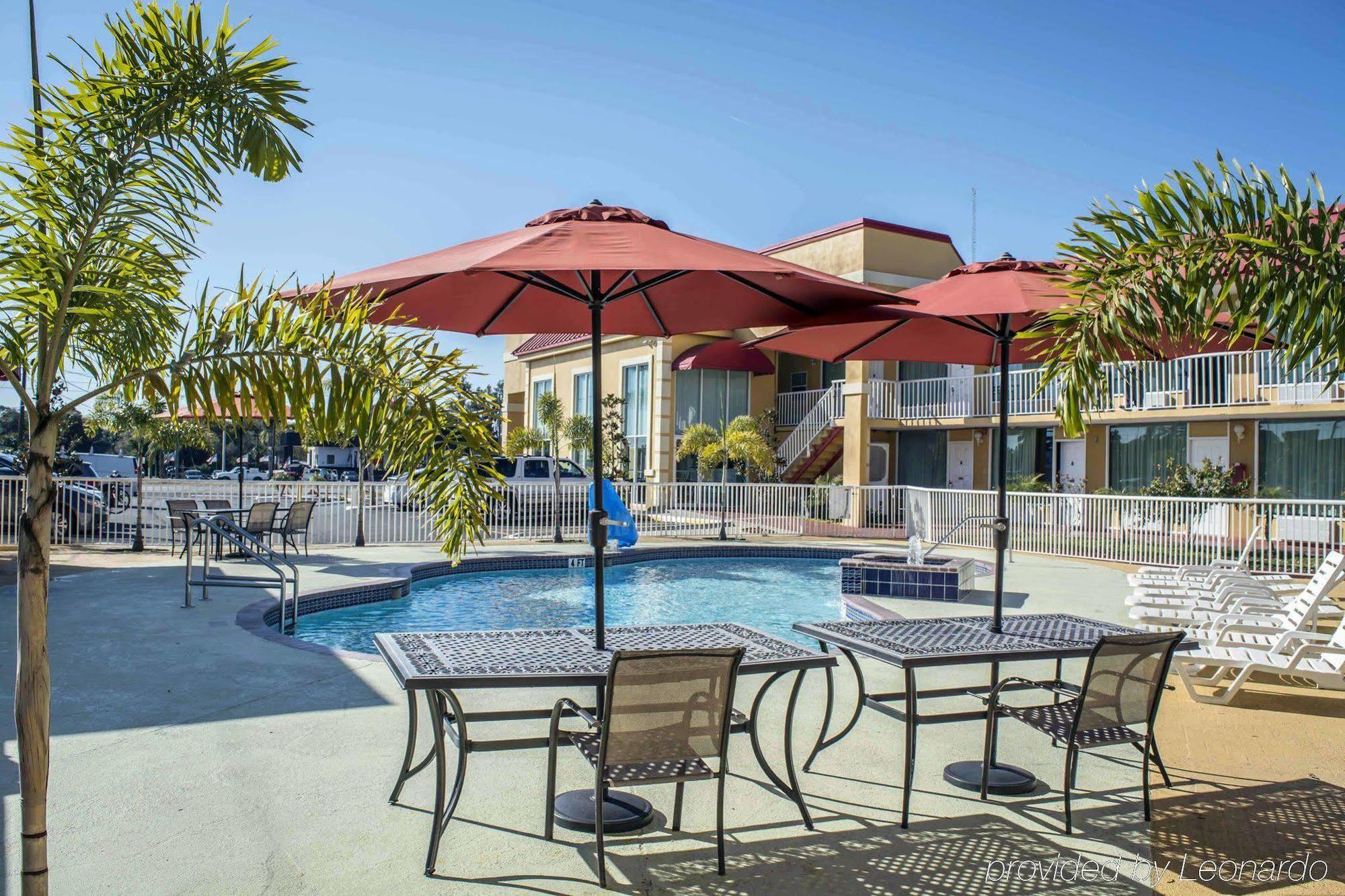 Rodeway Inn New Port Richey Ngoại thất bức ảnh